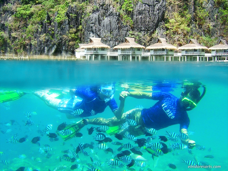スノーケリング (SNORKELING)