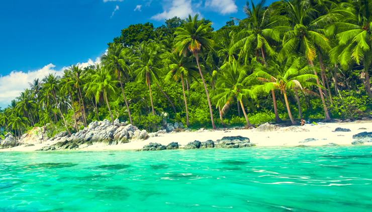 タリン ンガム ビーチ