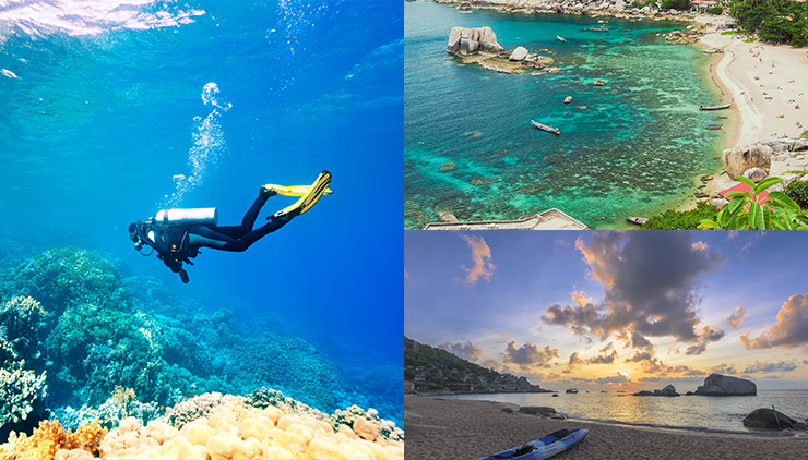 ダイビングに人気！「アオタノット湾」