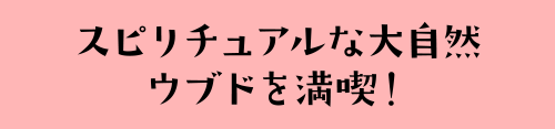 スピリチュアルな大自然 ウブドを満喫！