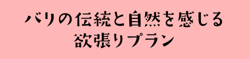 バリの伝統と自然を感じる欲張りプラン