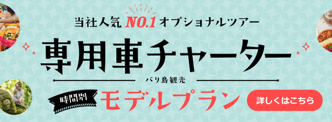当社人気NO.1オプショナルツアー　【専用車チャーター】時間割モデルプラン　くわしくはこちら