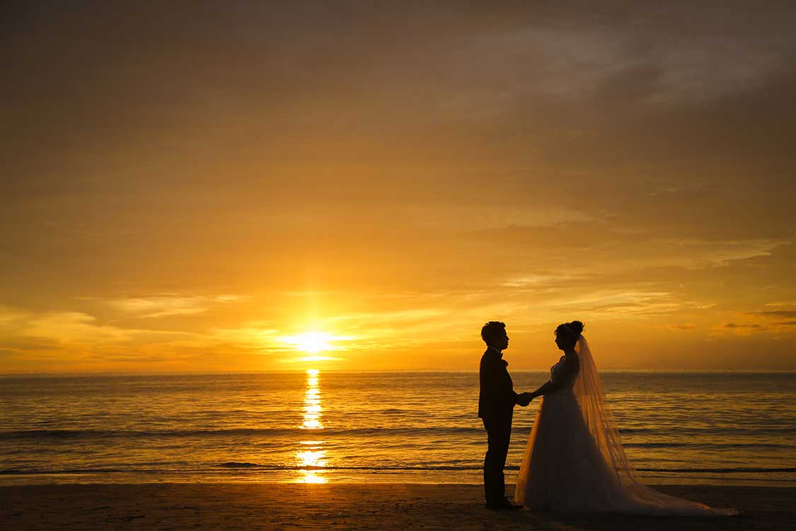 トロピカルガーデン＆ライスフィールド