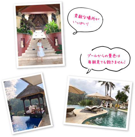 素敵な場所がいっぱい！　プールからの景色は毎朝見ても飽きません！