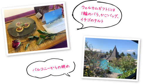 ウェルカムギフトには1輪のバラ、かごバック、イチゴのタルト　バルコニーからの眺め