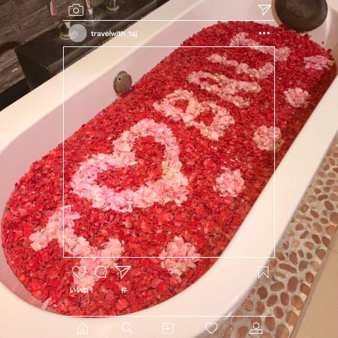 フラワーバスって何度見ても可愛い…