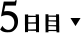 5日目