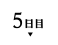 5日目