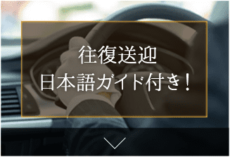 往復送迎日本語ガイド付き！