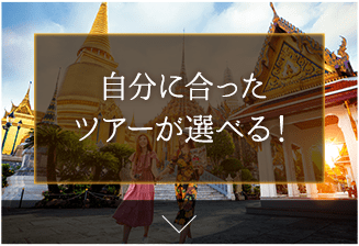 自分に合ったツアーが選べる！