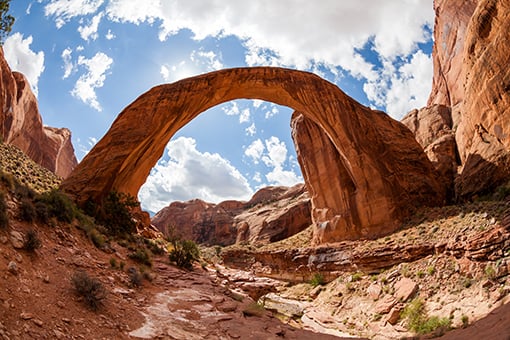 レインボーブリッジ