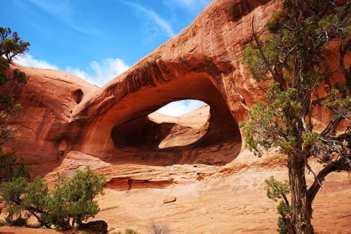 ミステリーバレー