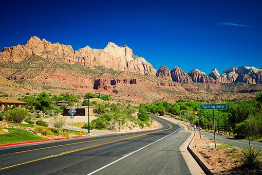 スプリングデール