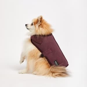 UGGオリジナルシープスキンドッグジャケット（イメージ）