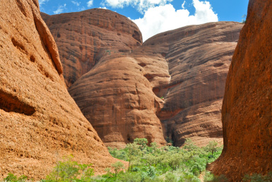 カタジュタとウルルサンセットツアー