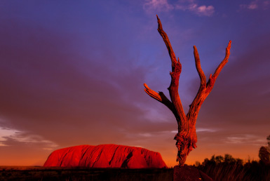 カタジュタとウルルサンセットツアー