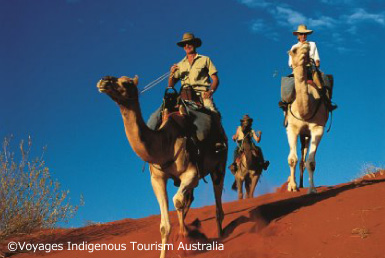 らくだで行くサンライズまたはサンセットツアー（英語）