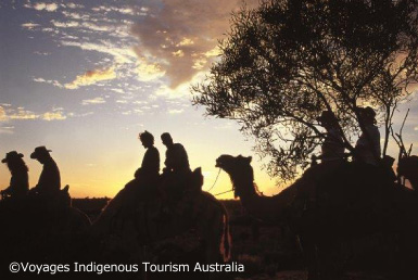 らくだで行くサンライズまたはサンセットツアー（英語）
