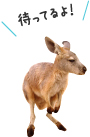 待ってるよ！
