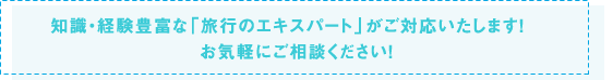 知識・経験豊富な「旅行のエキスパート」がご対応いたします！お気軽にご相談ください！