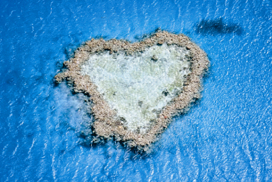 大切な人と見たい「幸せの象徴」！