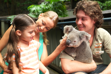 ワイルドライフ・ハミルトンアイランド