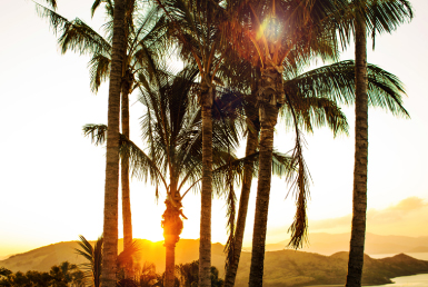 ワン・ツリー・ヒル