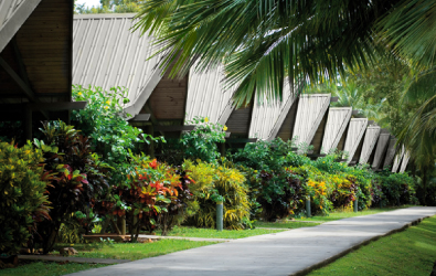 パーム・バンガローズ