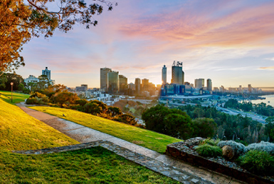 キングスパーク