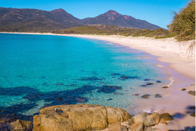 フレシネ国立公園