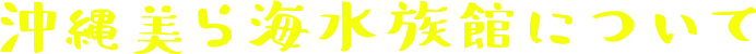 沖縄美ら海水族館について