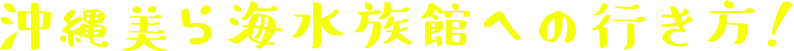沖縄美ら海水族館への行き方
