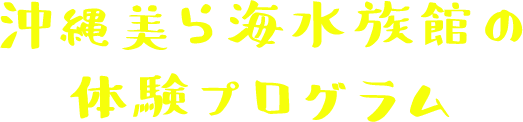 沖縄美ら海水族館の体験プログラム