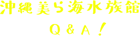沖縄美ら海水族館 Q&A!