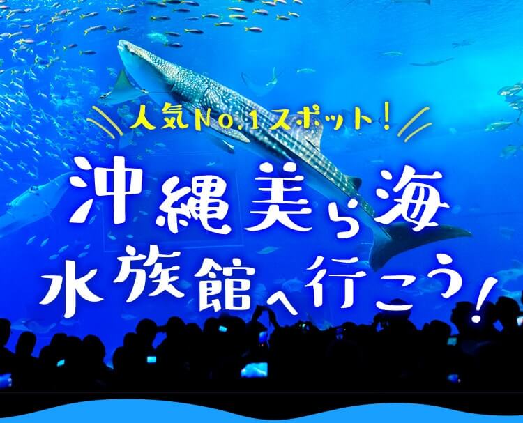 人気No1スポット！沖縄美ら海水族館へ行こう！