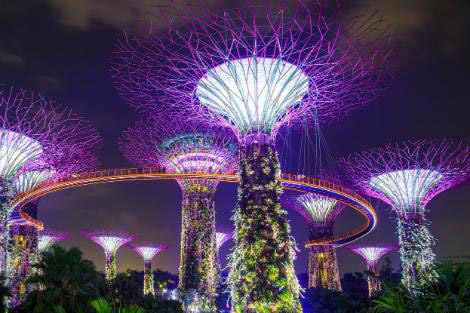シンガポール：夜のスーパーツリーグローブ