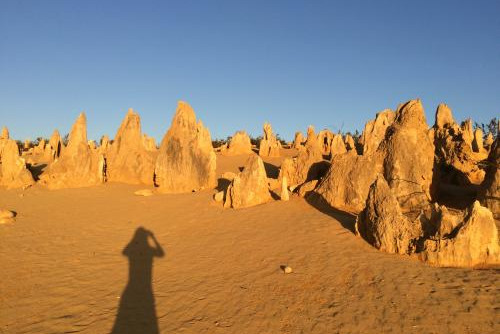 パース市内から日帰りツアーで行けるピナクルズ