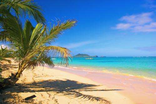 全米で最も美しいビーチとも言われるラニカイビーチ
