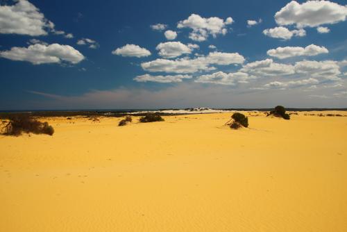 パース　ピナクルズの巨大な砂丘