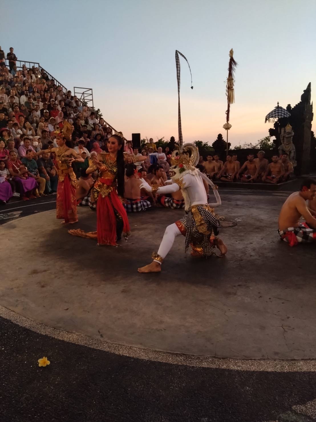 迫力満点のショーでした！