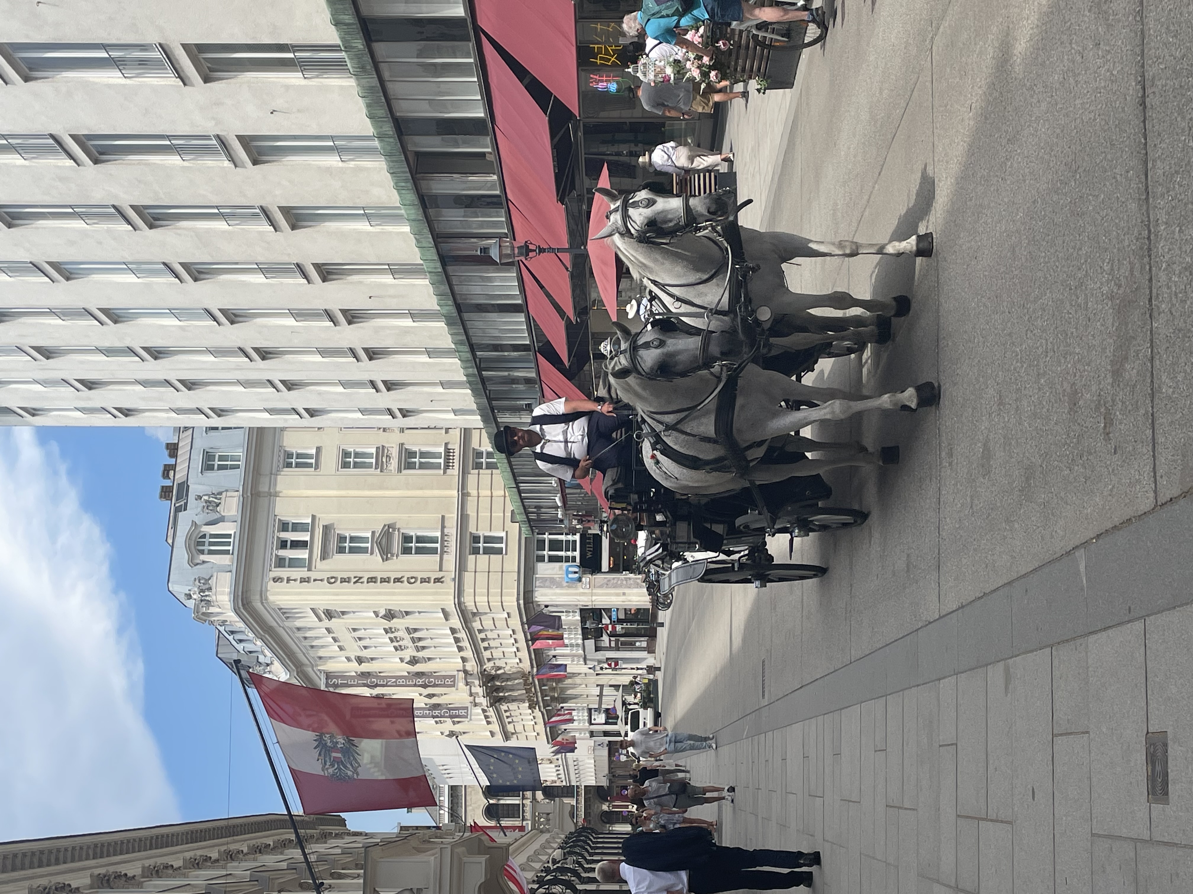 ウィーンの街並み