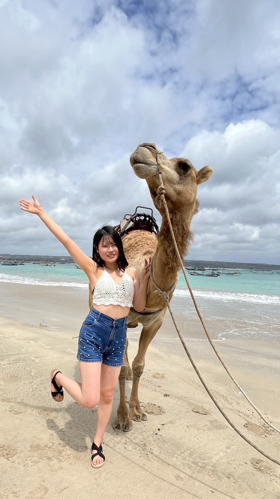 青い海をバックにラクダと