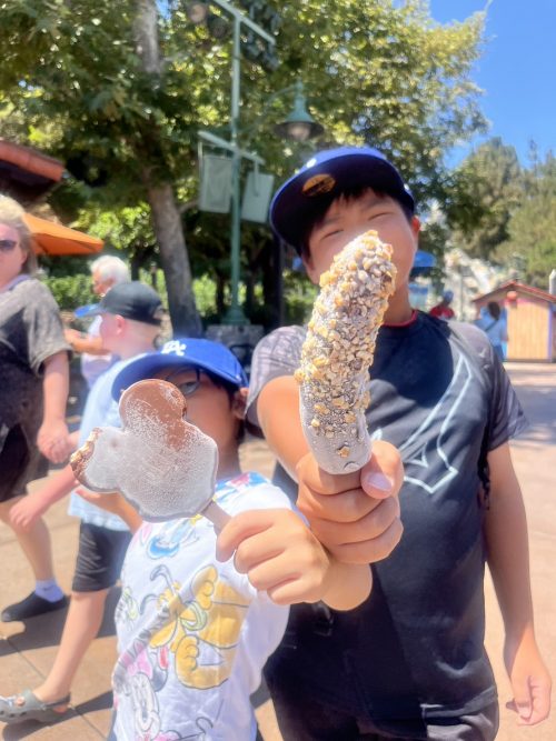 ディズニー・カリフォルニア・アドベンチャー・パーク