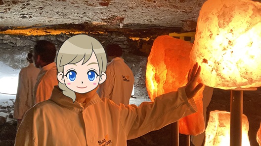 岩塩坑地下坑内岩塩タッチ