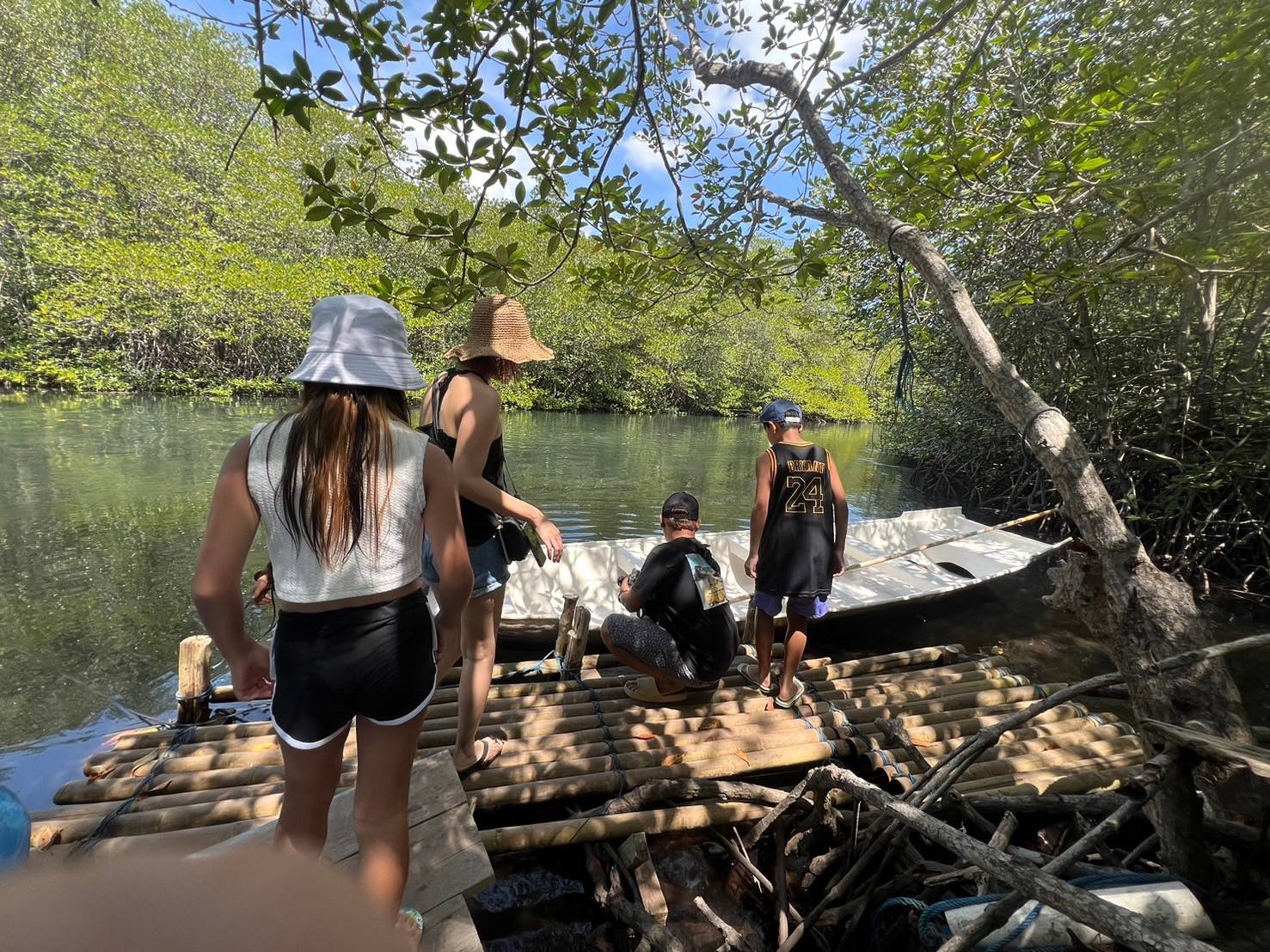 マングローブの森を探検