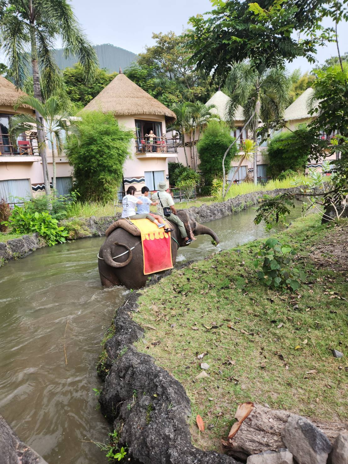 象に乗って朝食会場まで向かいます