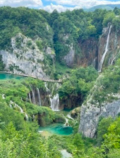 自然に癒されました