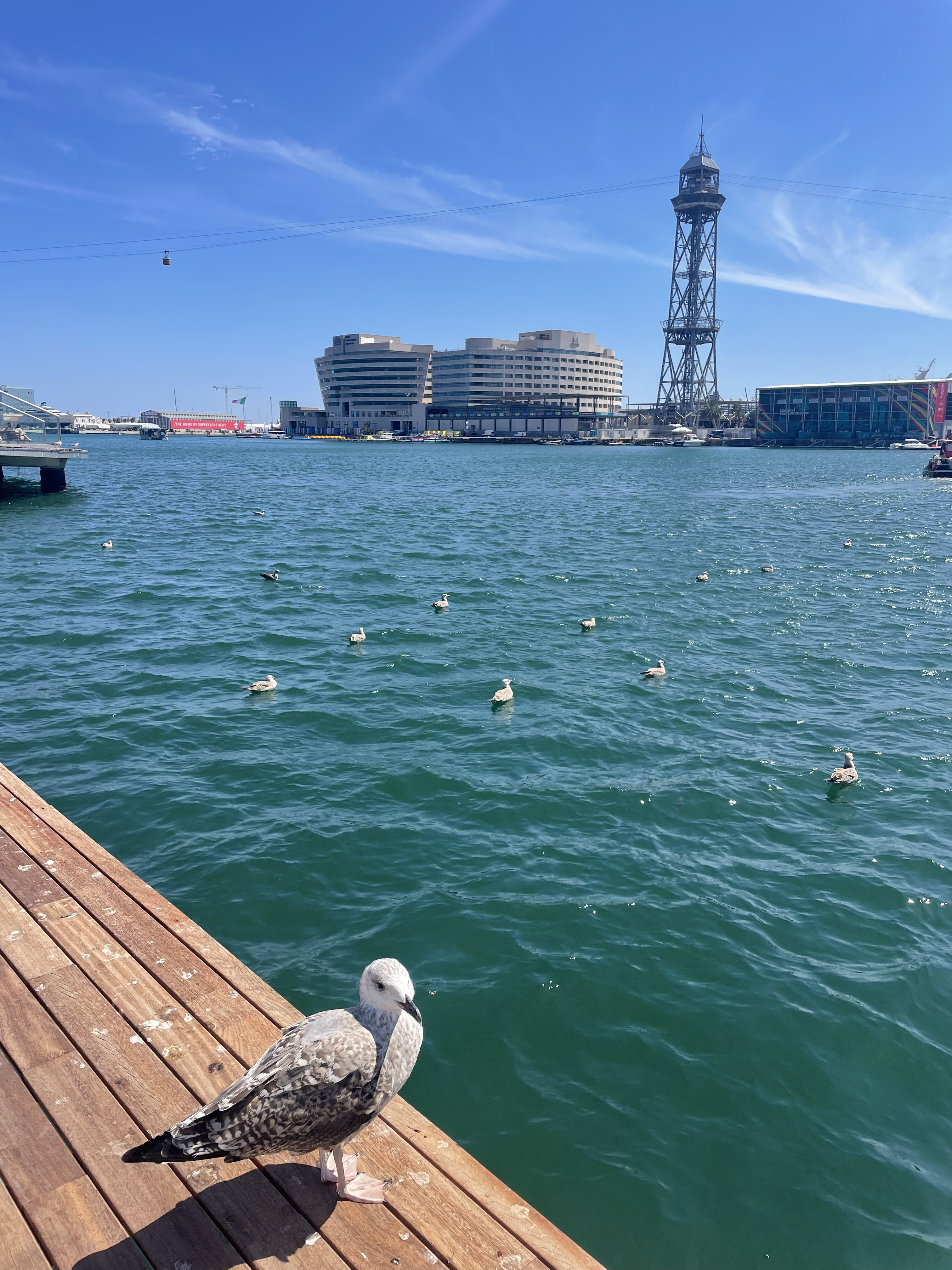 バルセロネータにて