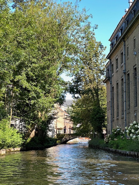 とても綺麗でした