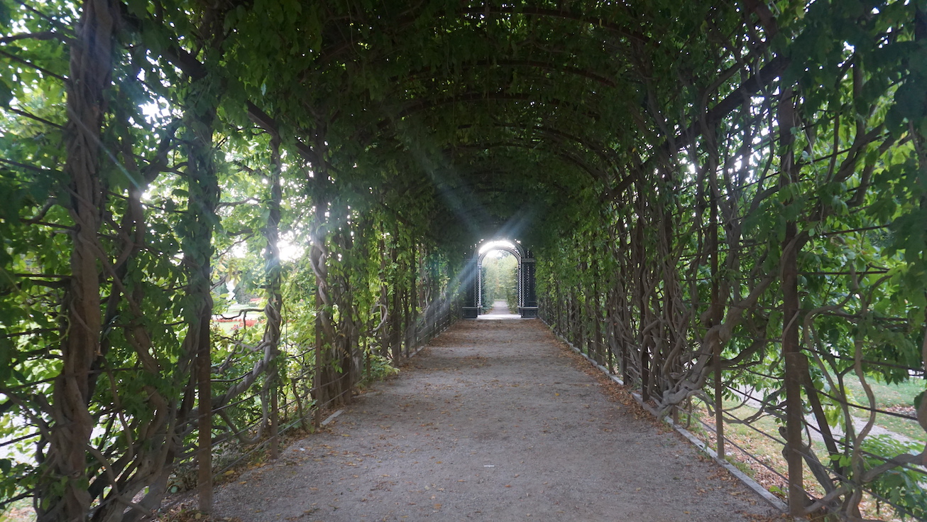 シェーンブルン宮殿の庭園